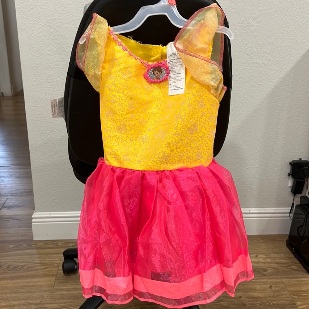 Fancy Nancy costume